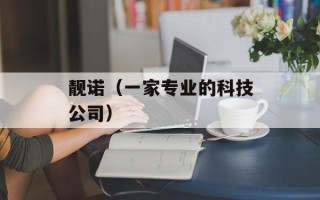 靓诺（一家专业的科技公司）