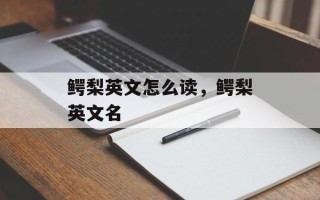 鳄梨英文怎么读，鳄梨英文名