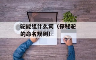 驼能组什么词（探秘驼的命名规则）