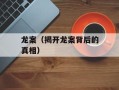 龙案（揭开龙案背后的真相）