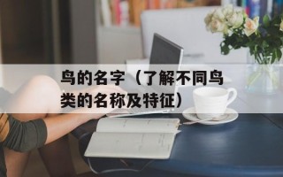 鸟的名字（了解不同鸟类的名称及特征）