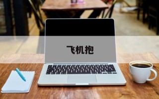 飞机抱