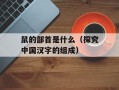 鼠的部首是什么（探究中国汉字的组成）