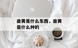 韭黄是什么东西，韭黄是什么种的