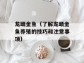 龙睛金鱼（了解龙睛金鱼养殖的技巧和注意事项）