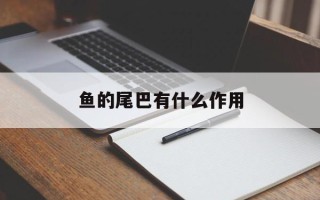 鱼的尾巴有什么作用