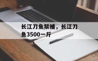 长江刀鱼禁捕，长江刀鱼3500一斤