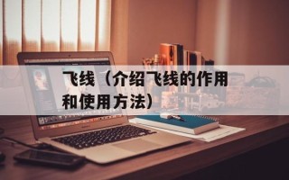 飞线（介绍飞线的作用和使用方法）