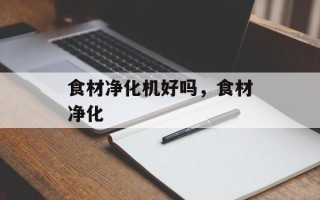 食材净化机好吗，食材净化