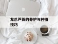 龙爪芦荟的养护与种植技巧