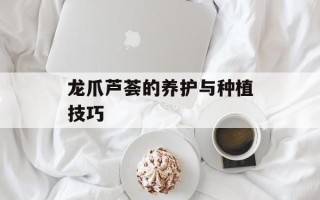 龙爪芦荟的养护与种植技巧