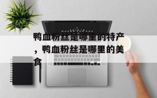 鸭血粉丝是哪里的特产，鸭血粉丝是哪里的美食