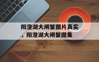 阳澄湖大闸蟹图片真实，阳澄湖大闸蟹图集