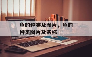 鱼的种类及图片，鱼的种类图片及名称