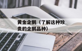 黄金企鹅（了解这种珍贵的企鹅品种）
