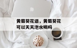 黄蜀葵花语，黄蜀葵花可以天天泡水喝吗