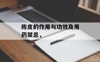 陈皮的作用与功效及用药禁忌，