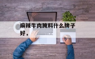 麻辣牛肉腌料什么牌子好，