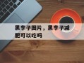 黑李子图片，黑李子减肥可以吃吗