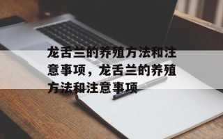 龙舌兰的养殖方法和注意事项，龙舌兰的养殖方法和注意事项