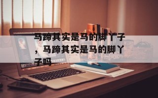 马蹄其实是马的脚丫子，马蹄其实是马的脚丫子吗