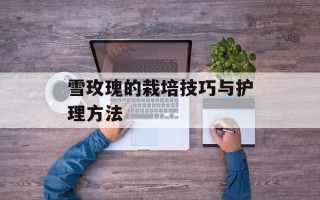 雪玫瑰的栽培技巧与护理方法