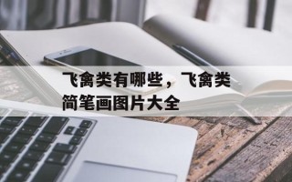 飞禽类有哪些，飞禽类简笔画图片大全