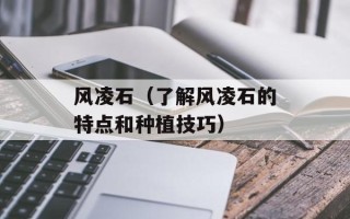 风凌石（了解风凌石的特点和种植技巧）