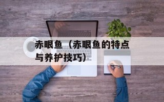 赤眼鱼（赤眼鱼的特点与养护技巧）