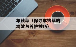 车钱草（探寻车钱草的功效与养护技巧）