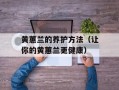 黄蕙兰的养护方法（让你的黄蕙兰更健康）