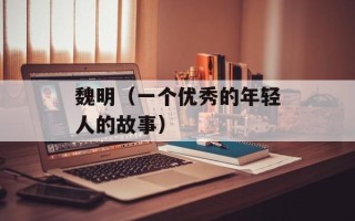 魏明（一个优秀的年轻人的故事）
