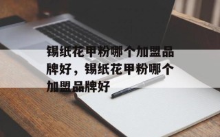 锡纸花甲粉哪个加盟品牌好，锡纸花甲粉哪个加盟品牌好
