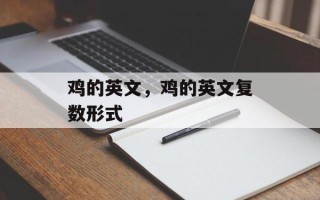 鸡的英文，鸡的英文复数形式