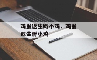 鸡蛋返生孵小鸡，鸡蛋返生孵小鸡