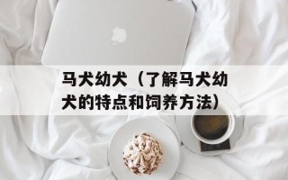 马犬幼犬（了解马犬幼犬的特点和饲养方法）