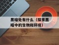 黑暗处有什么（探索黑暗中的生物和环境）