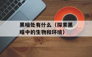 黑暗处有什么（探索黑暗中的生物和环境）
