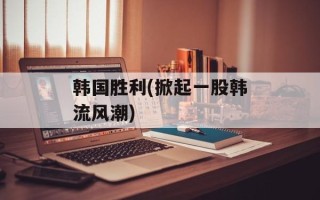 韩国胜利(掀起一股韩流风潮)