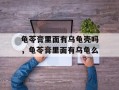 龟苓膏里面有乌龟壳吗，龟苓膏里面有乌龟么