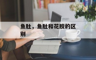 鱼肚，鱼肚和花胶的区别