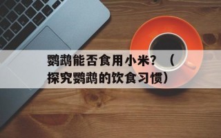 鹦鹉能否食用小米？（探究鹦鹉的饮食习惯）