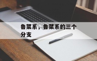 鲁菜系，鲁菜系的三个分支