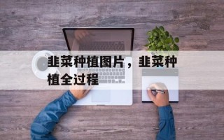 韭菜种植图片，韭菜种植全过程