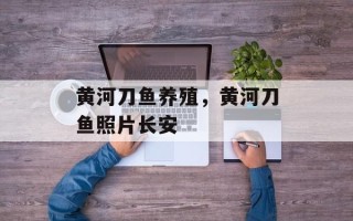 黄河刀鱼养殖，黄河刀鱼照片长安