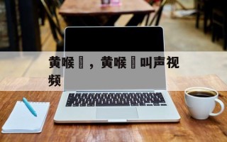 黄喉鹀，黄喉鹀叫声视频