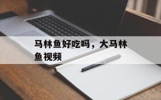 马林鱼好吃吗，大马林鱼视频