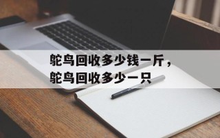 鸵鸟回收多少钱一斤，鸵鸟回收多少一只