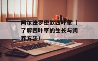 阿尔法罗密欧四叶草（了解四叶草的生长与饲养方法）
