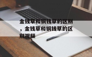 金钱草和铜钱草的区别，金钱草和铜钱草的区别视频